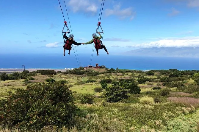 Kapalua Ziplines: 6 tirolinas dobles y paseo en quad