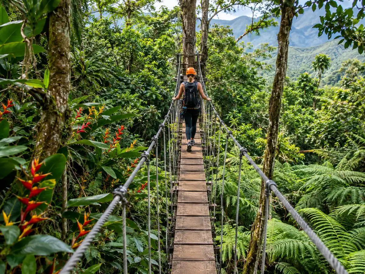 Un puente oscilante de cuerda y tablones en medio de una densa selva tropical