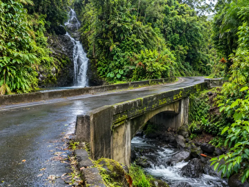Un puente de un solo carril en una carretera de jungla junto a una pequeña cascada
